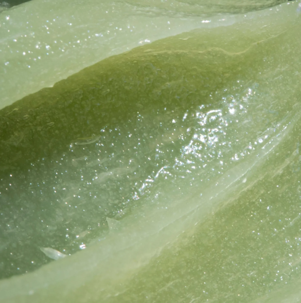 ÂN-BALM Radiant Hydra-Balm