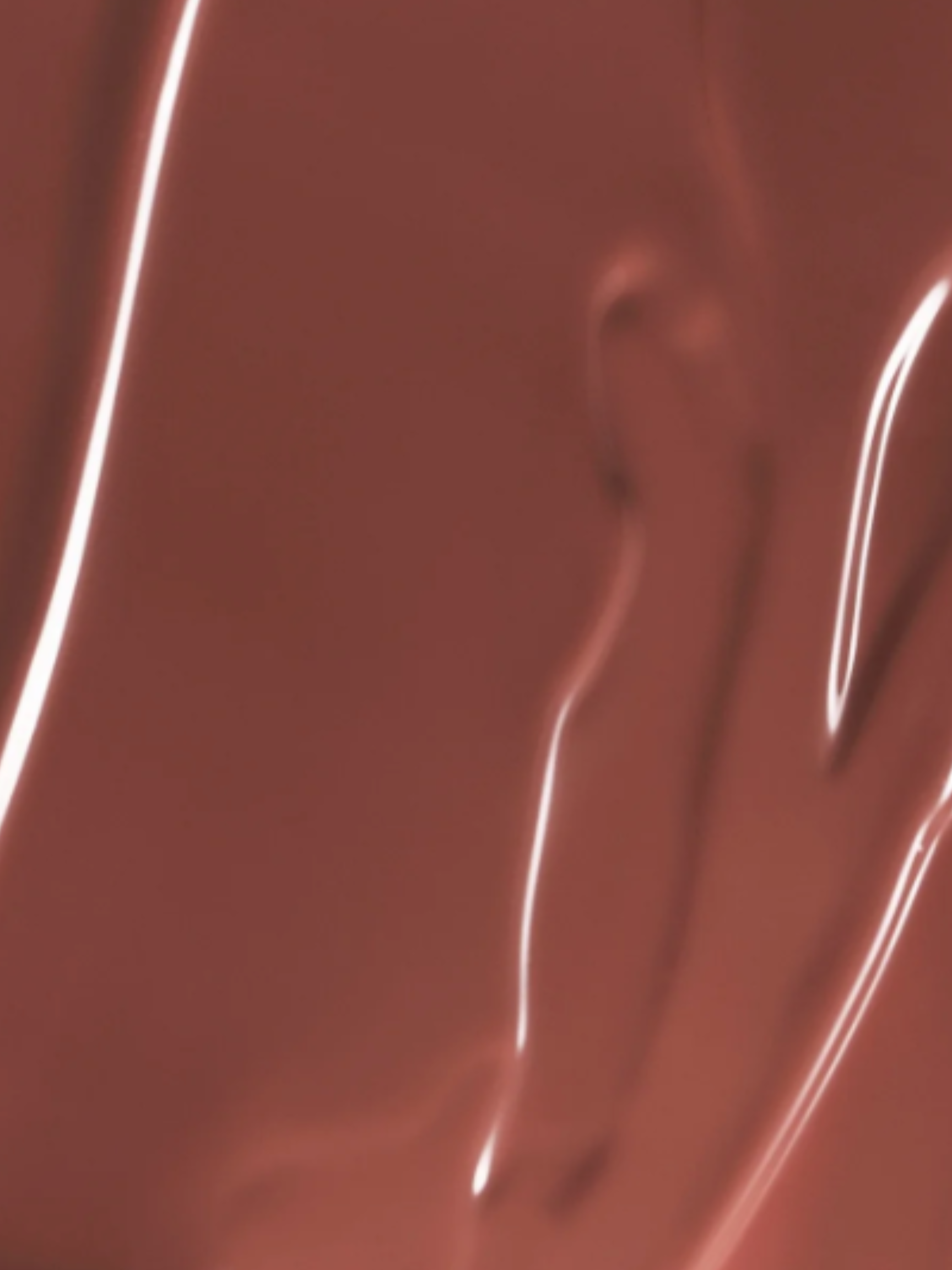 ÂN-GLOSS Ceramide Lip Tint Spice Cake